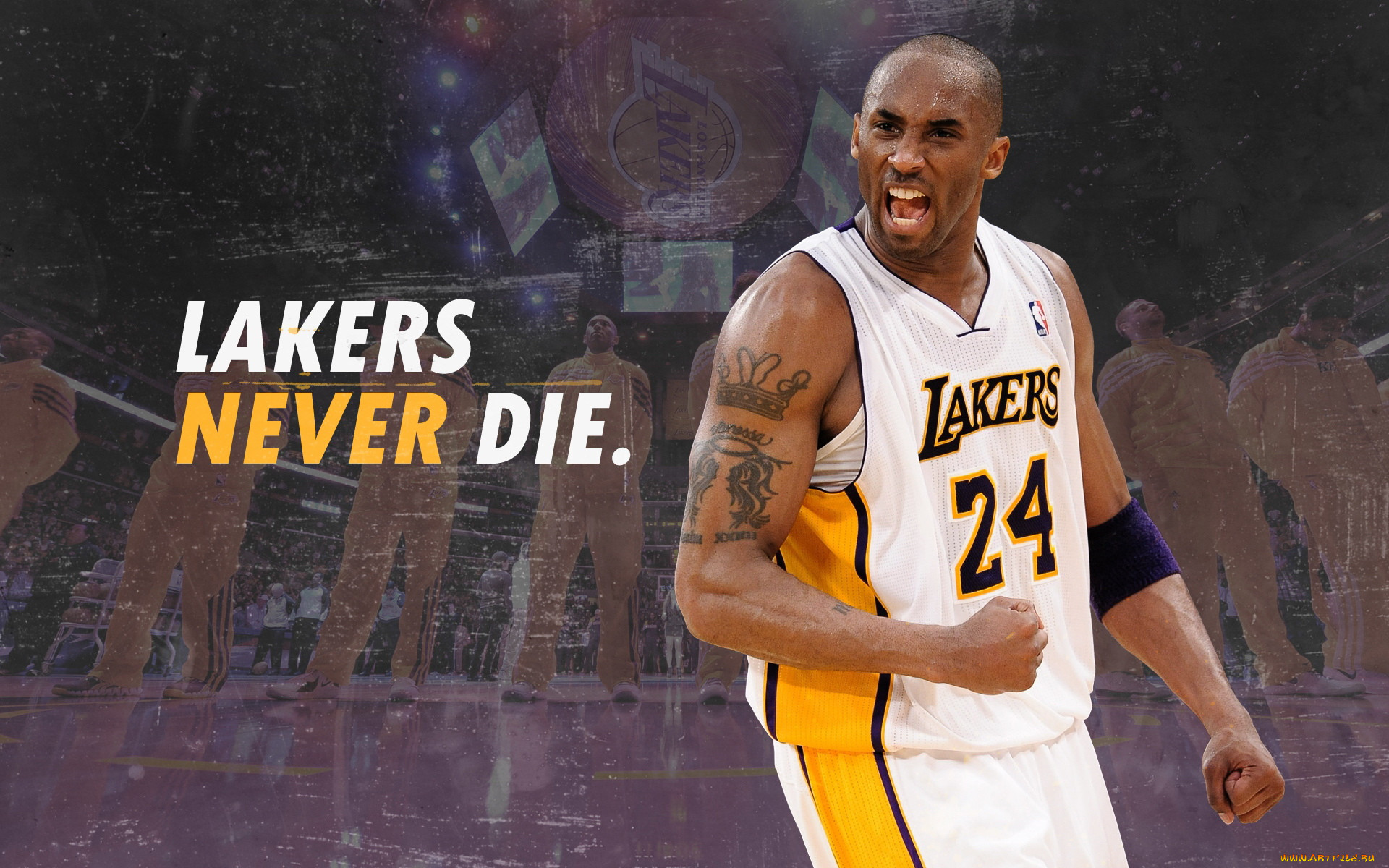 , nba, 